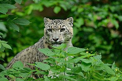 开启全新旅途！《极限竞速：地平线5》与名爵邀你新春畅游墨西哥