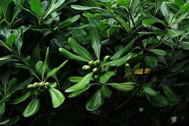 《魔兽世界：大灾变》经典服5月21日上线