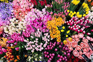 《破晓传说》奇莎兰角色预告 英气逼人的卫队长